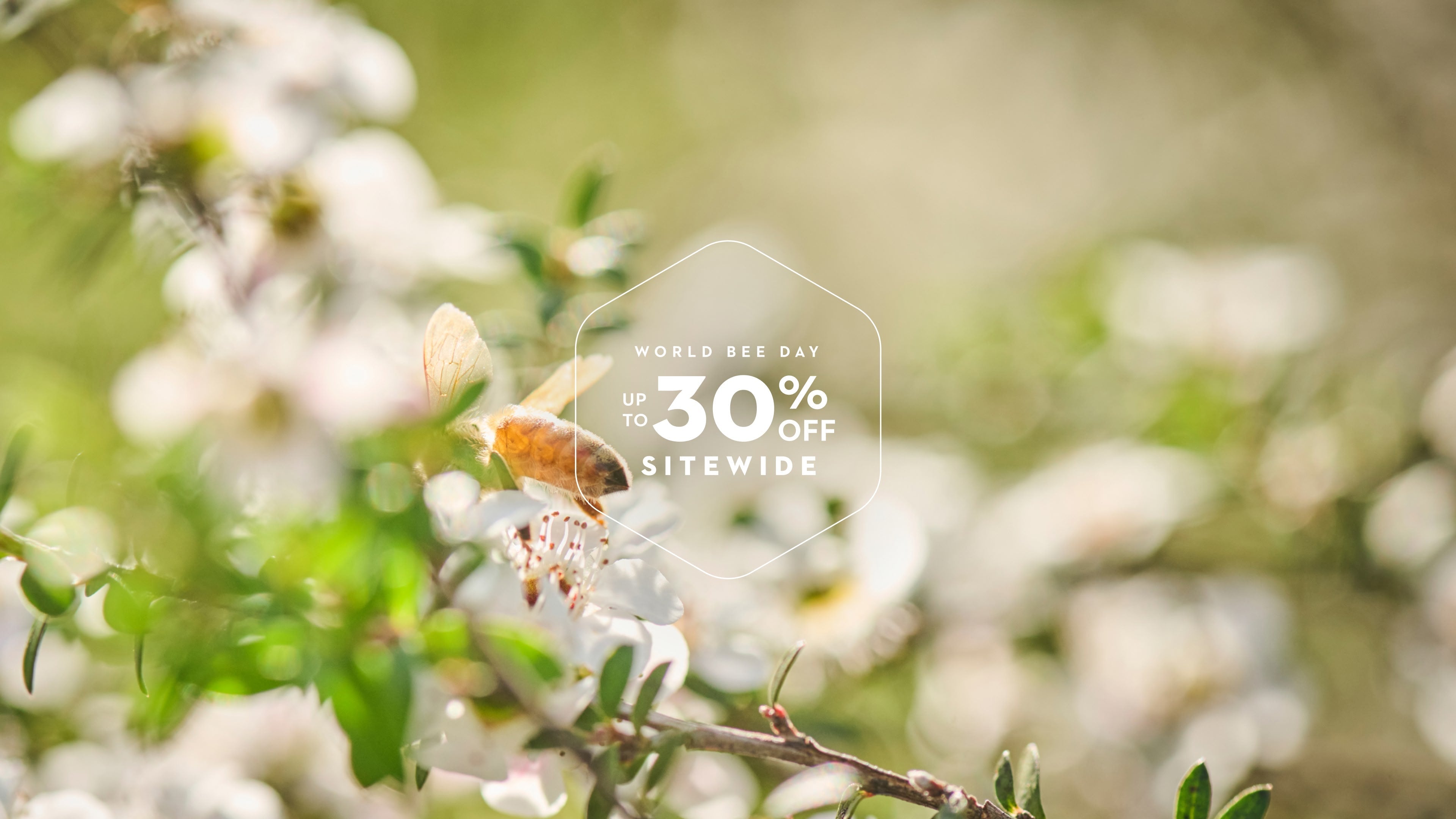 Gift Sets | Manuka Honey & Bee-Powered Skincare – Manuka Health