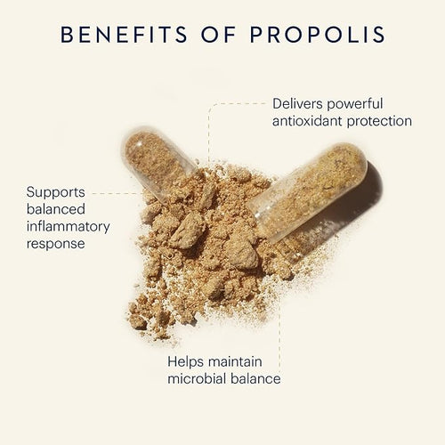 Propolis powder with text highlighting its benefits on a white background