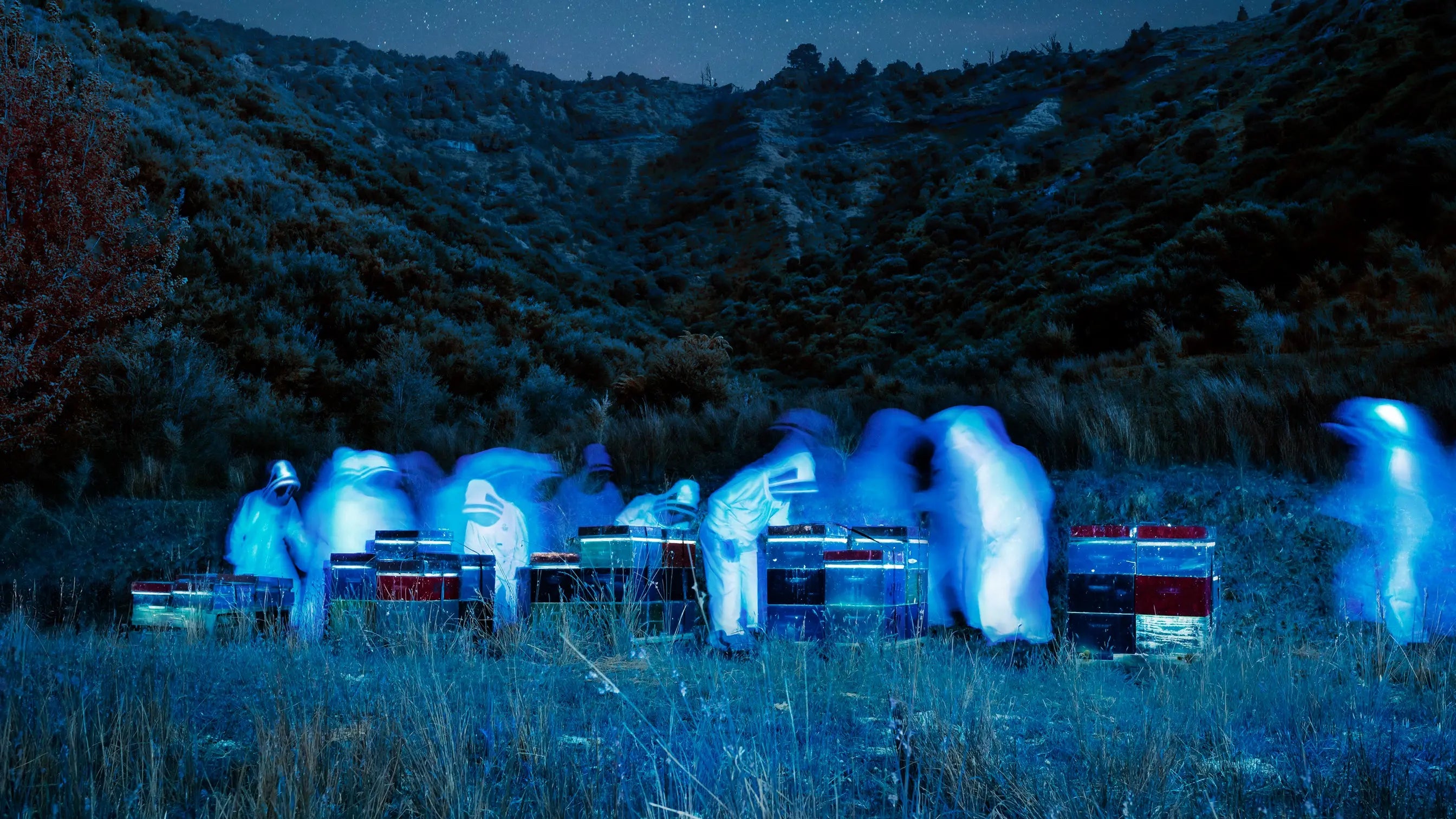 Inspiring your trust