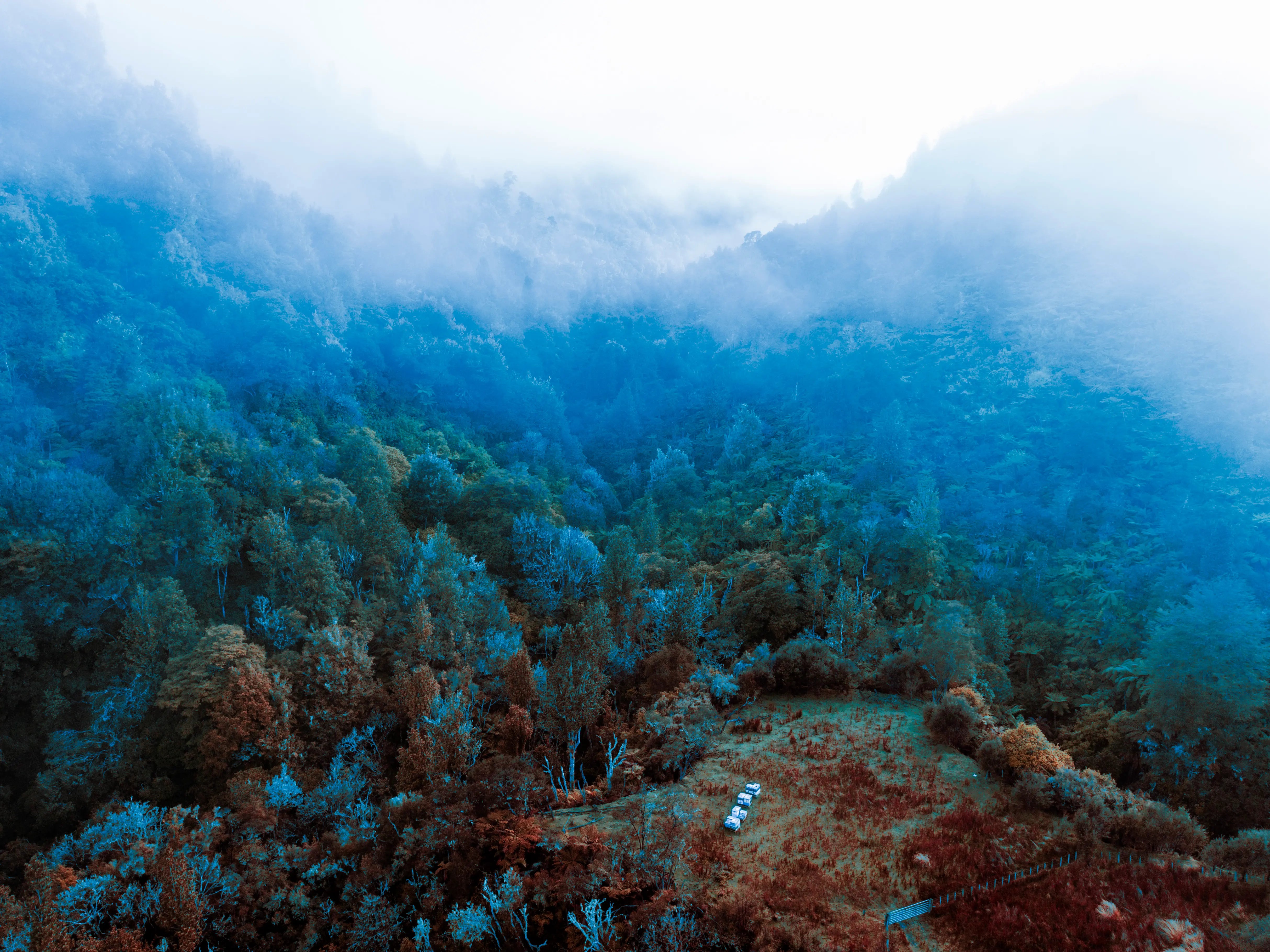 The guardians of nature’s gifts.