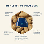 An informational graphic titled 'BENEFITS OF PROPOLIS' with a central hexagon showing a blue jar surrounded by propolis capsules, plus surrounding text listing health benefits on a light beige background.