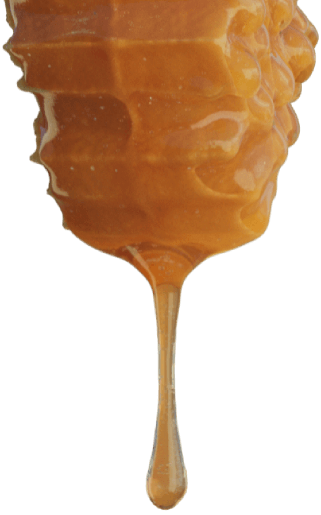 Honeycomb